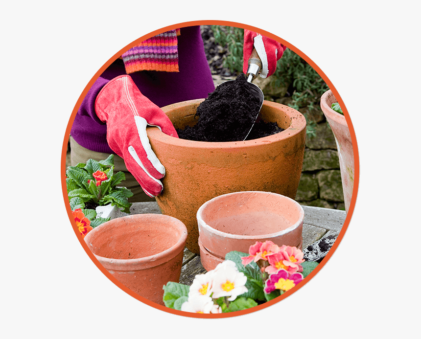 Potting Services, HD Png Download