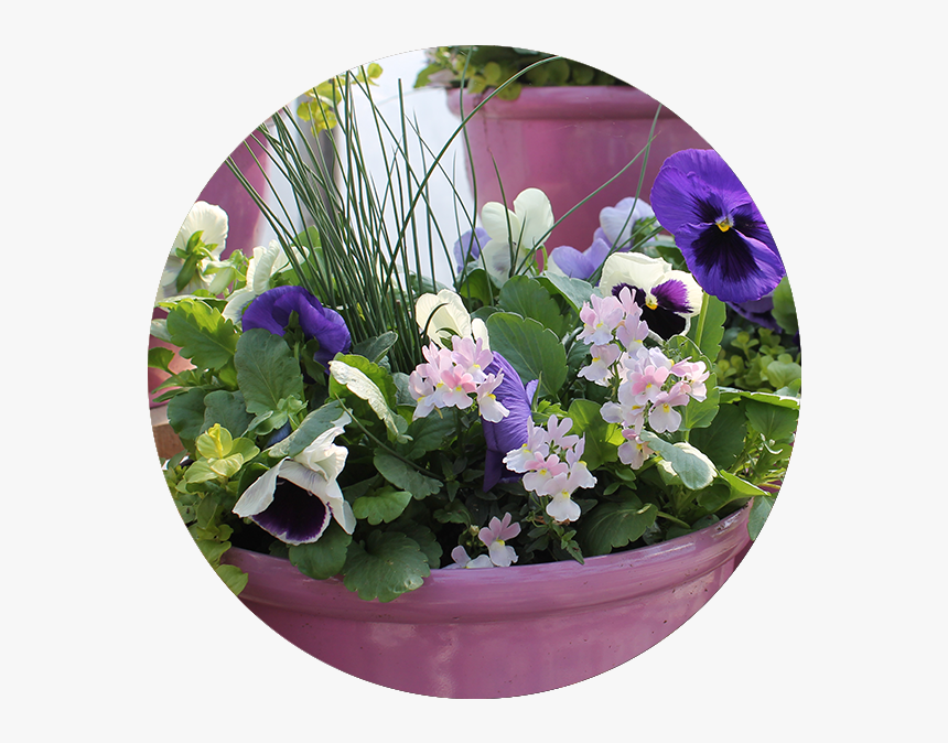 Hanging Flowers Png, Transparent Png