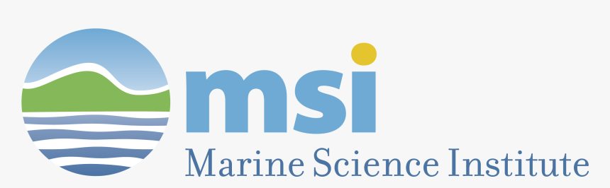 Msi Logo, HD Png Download