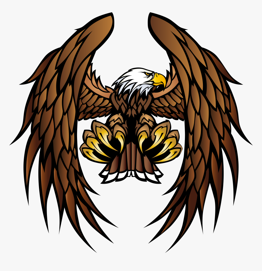 Bald Eagle White-tailed Eagle Bird Of Prey, HD Png Download