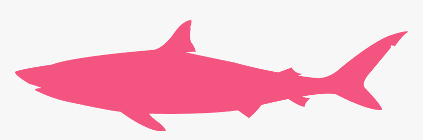 Shark Silhouette Png, Transparent Png