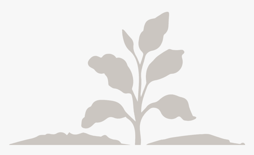 Golden Gate Bridge Silhouette Png, Transparent Png