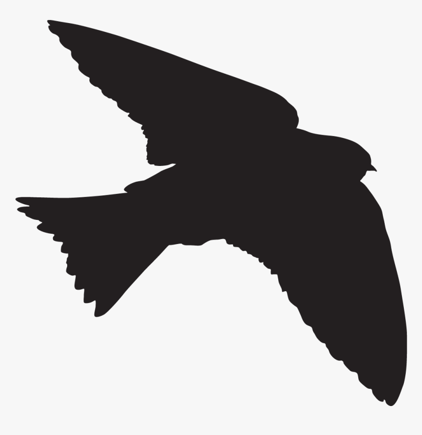 Tree Of Life Silhouette Png, Transparent Png