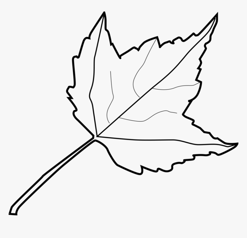 Leaf Cliparts Png Color, Transparent Png
