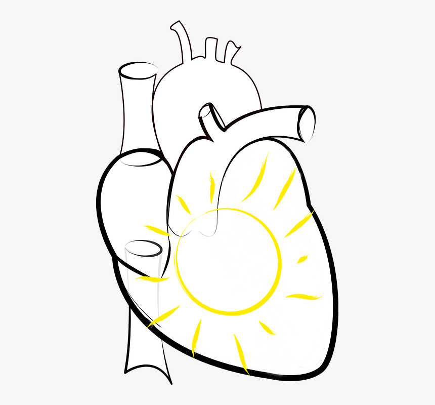 Heart, Sun, Sun In The Heart, Figure Of Speech, Png, Transparent Png