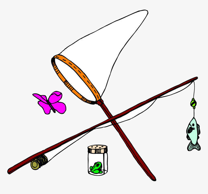 Butterfly Net Png, Transparent Png