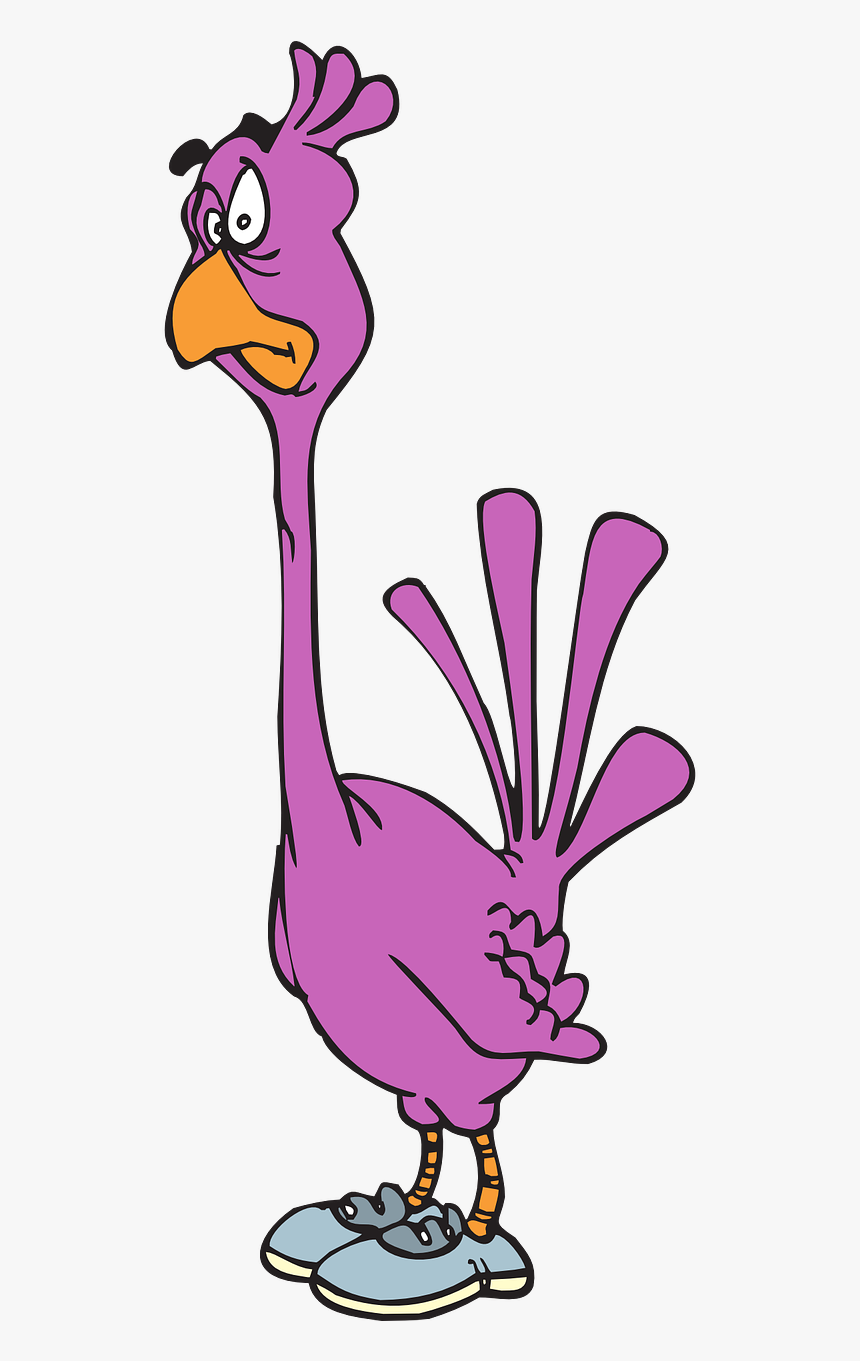 Pink Flamingo Png, Transparent Png