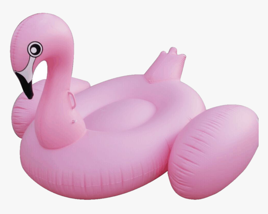 Img 0721 2, HD Png Download