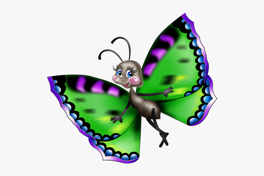 Butterfly Net Png, Transparent Png