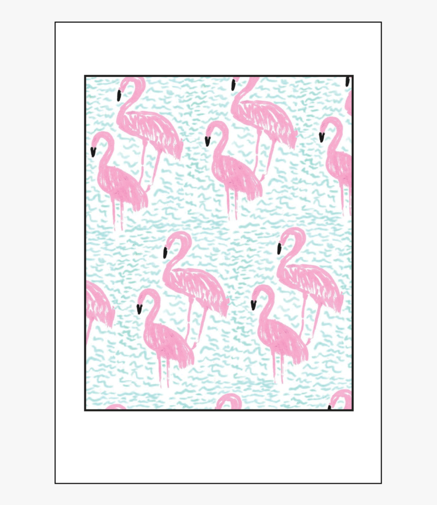 Flamingos, HD Png Download