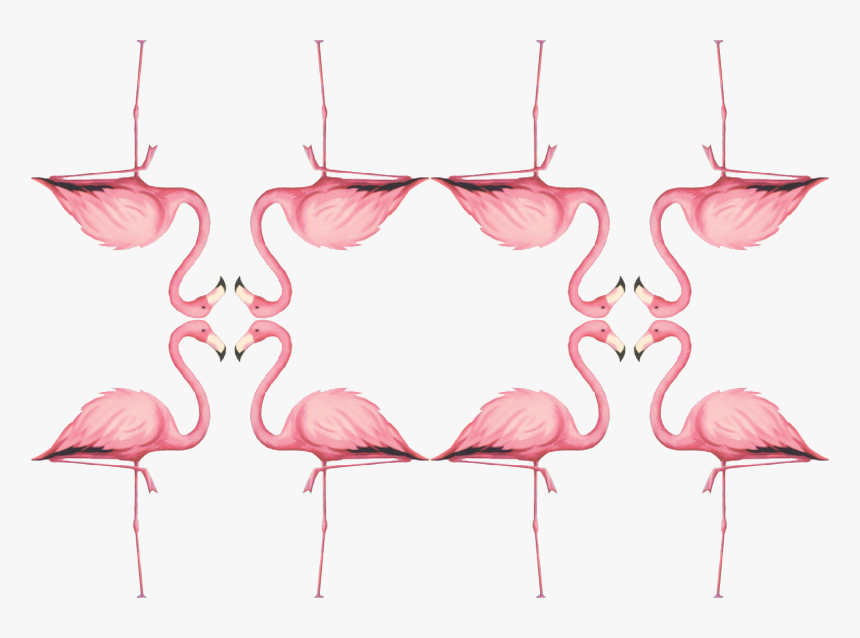 Pink Flamingo Png, Transparent Png