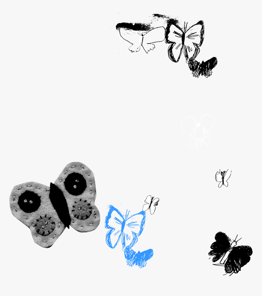 Butterfly Net Png, Transparent Png