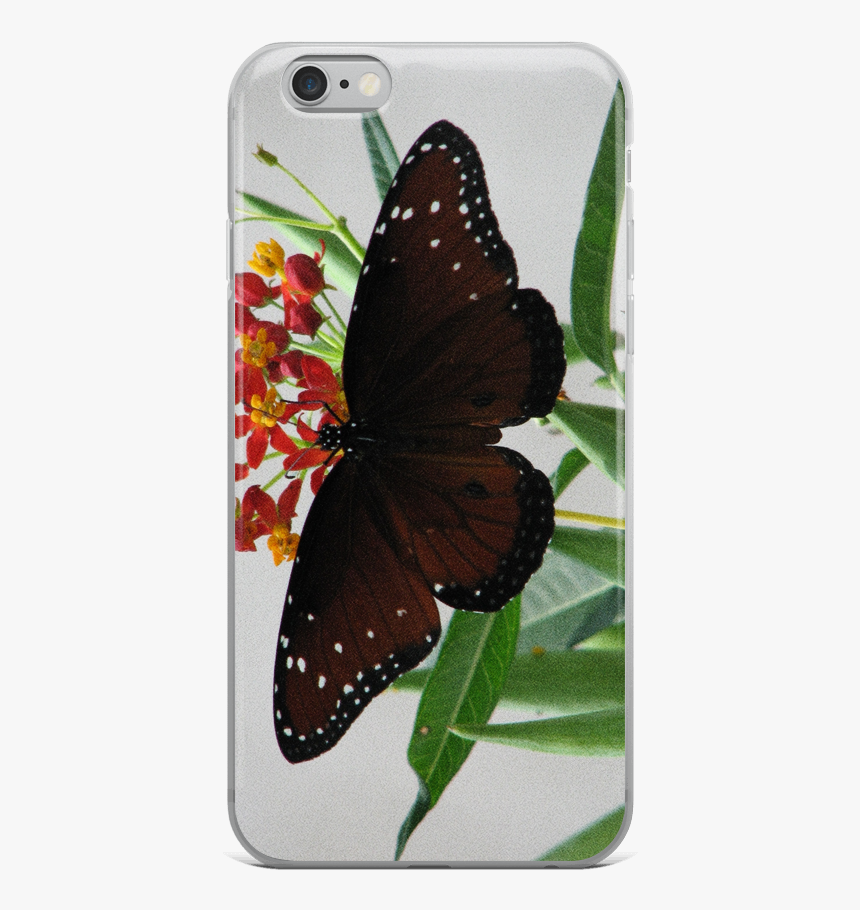 Butterfly Net Png, Transparent Png