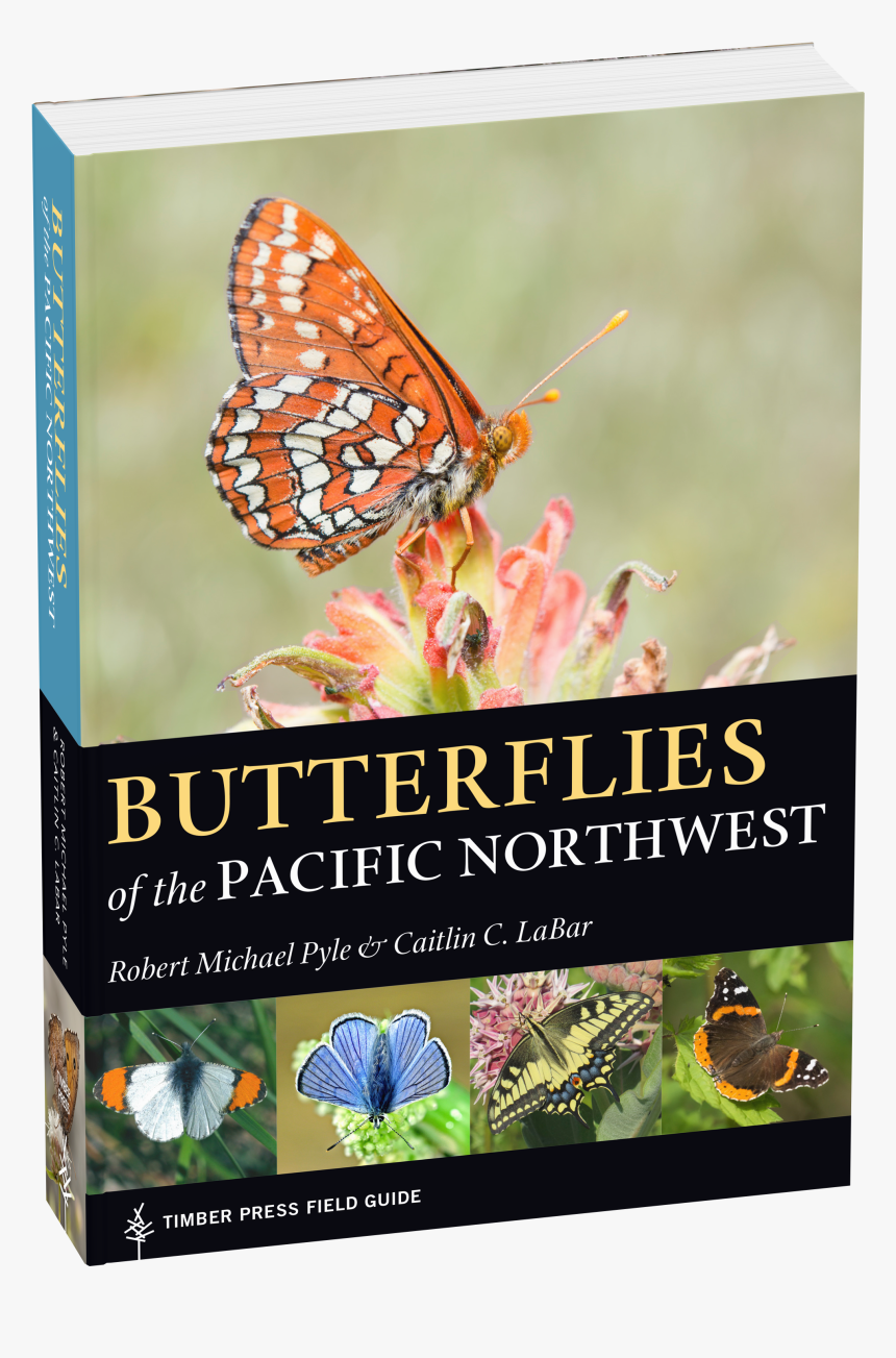 Cover, HD Png Download