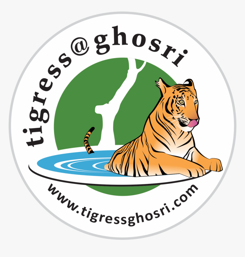 Transparent Tiger Eyes Png Png Download Transparent Png Image