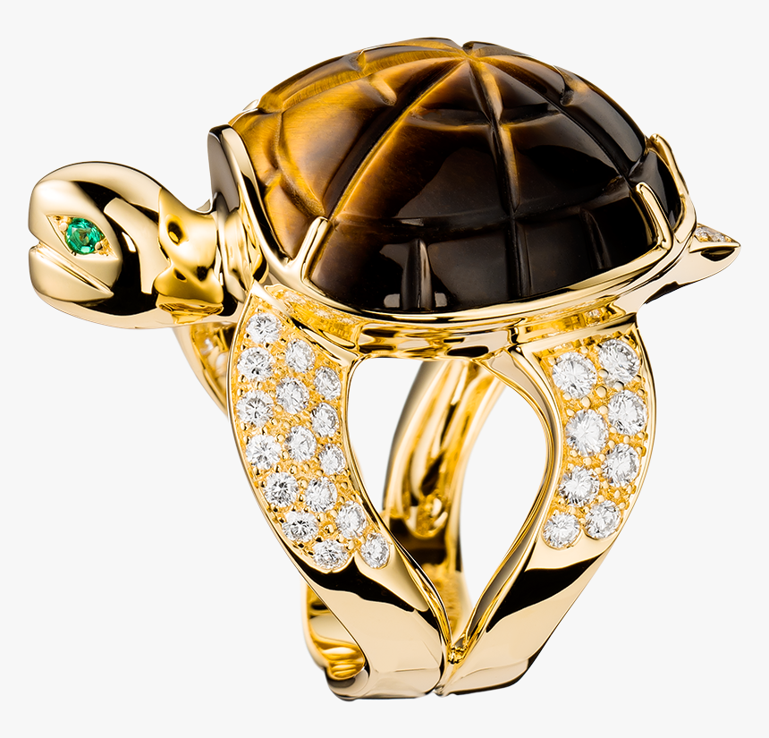 Tiger Eyes Png, Transparent Png