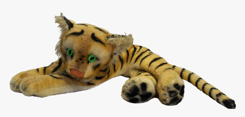 Tiger Eyes Png, Transparent Png