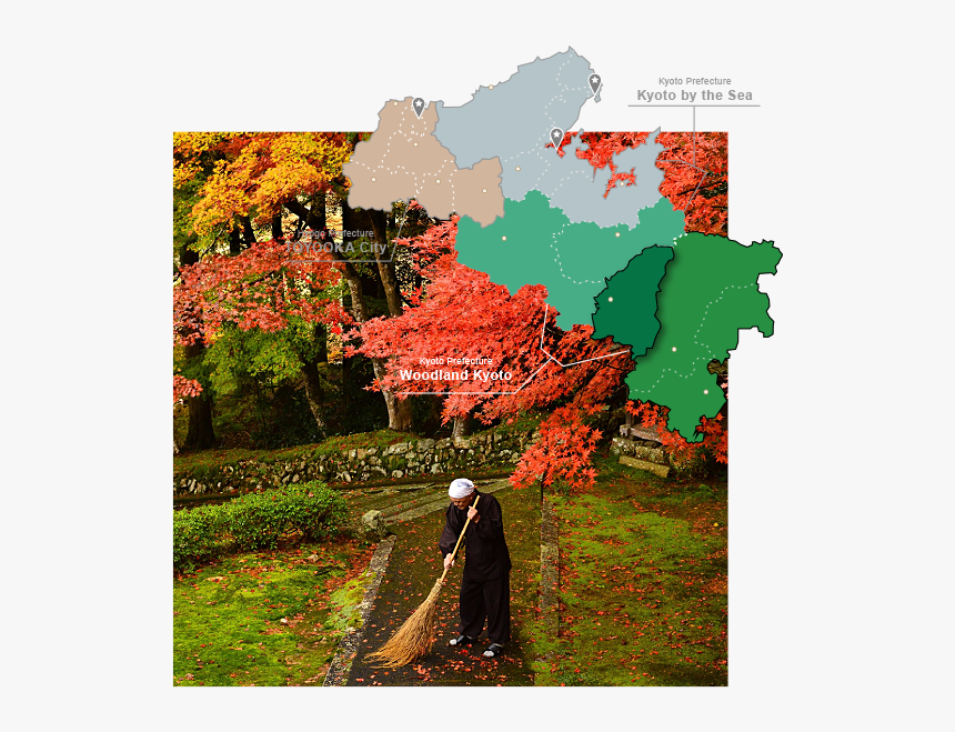 Kyotamba, HD Png Download