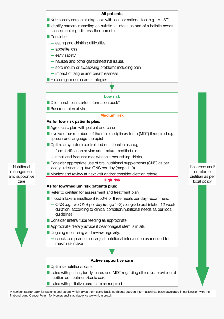 Bapen Lung Cancer Nutritional Care Guideline, HD Png Download