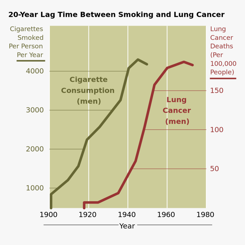 Transparent Lung Png, Png Download