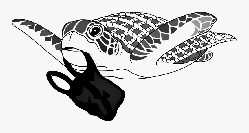 Cigarette Butt Png, Transparent Png