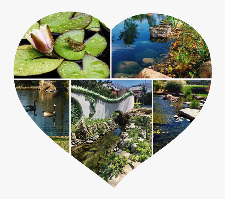 Picture, HD Png Download