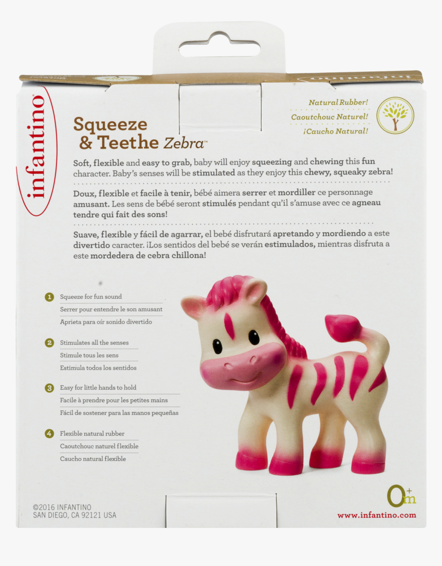 Baby Zebra Png, Transparent Png