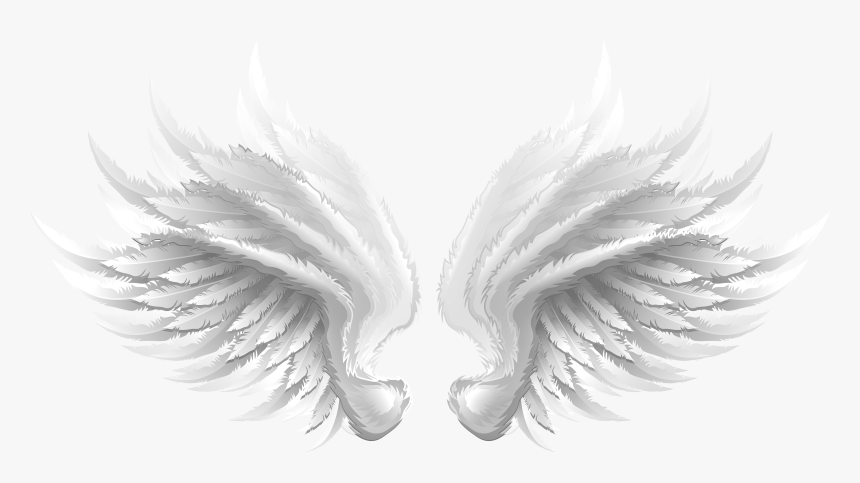 Transparent Clip Art Image, HD Png Download