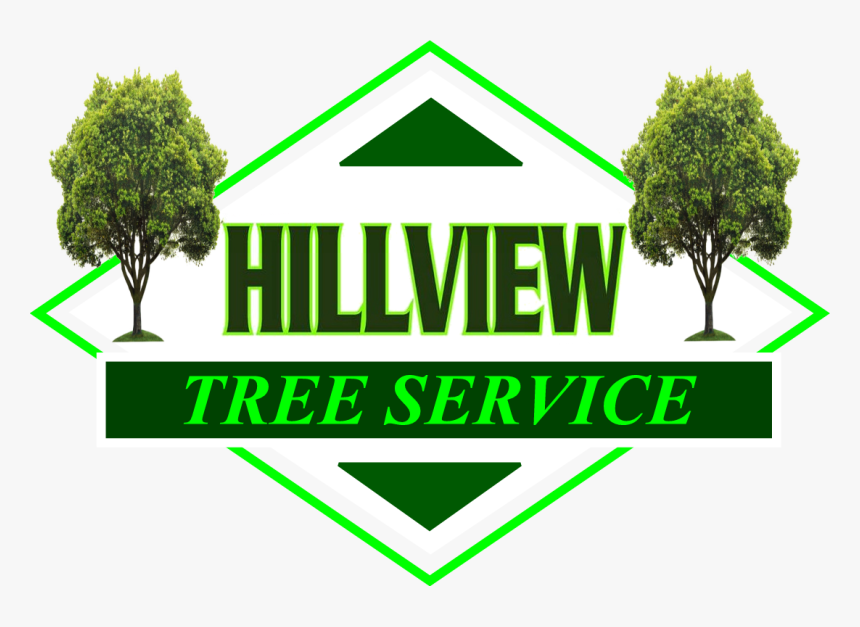 Naugatuck Tree Removal Services, HD Png Download
