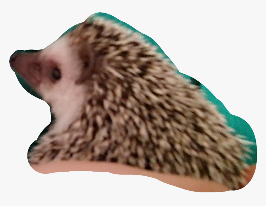 Hodor Png, Transparent Png