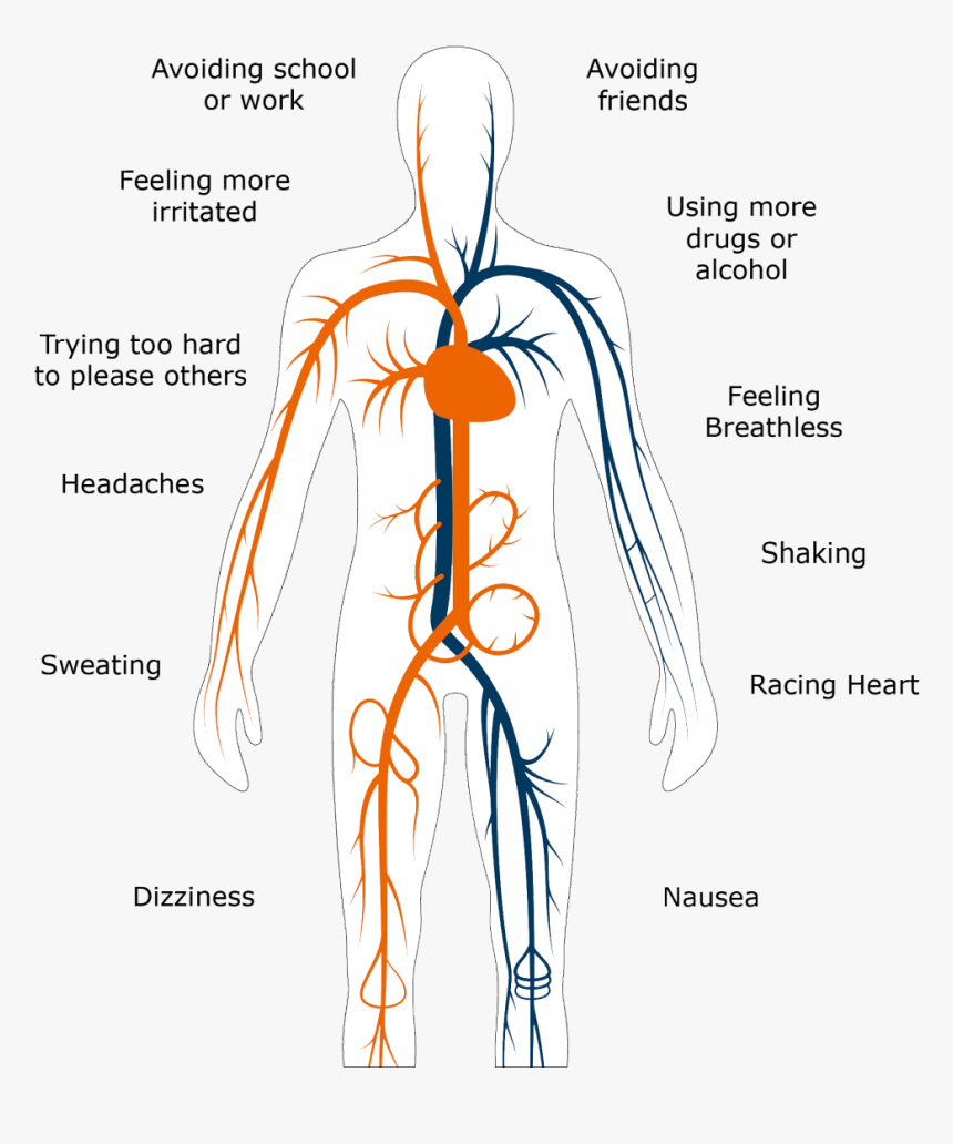 Avoiding School Or Work, Avoiding Friends, Feeling, HD Png Download