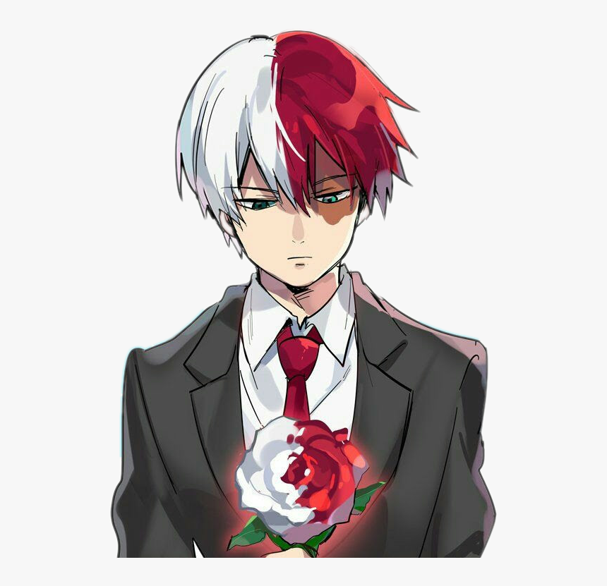 Todoroki Png, Transparent Png