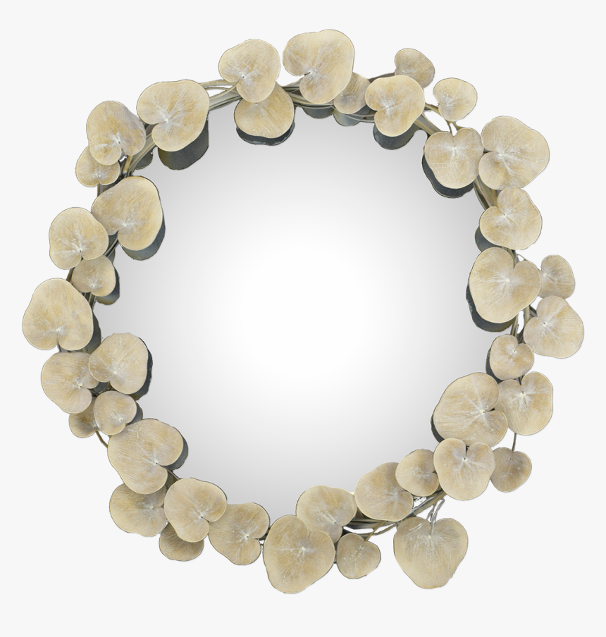 Eucalyptus Mirror, HD Png Download