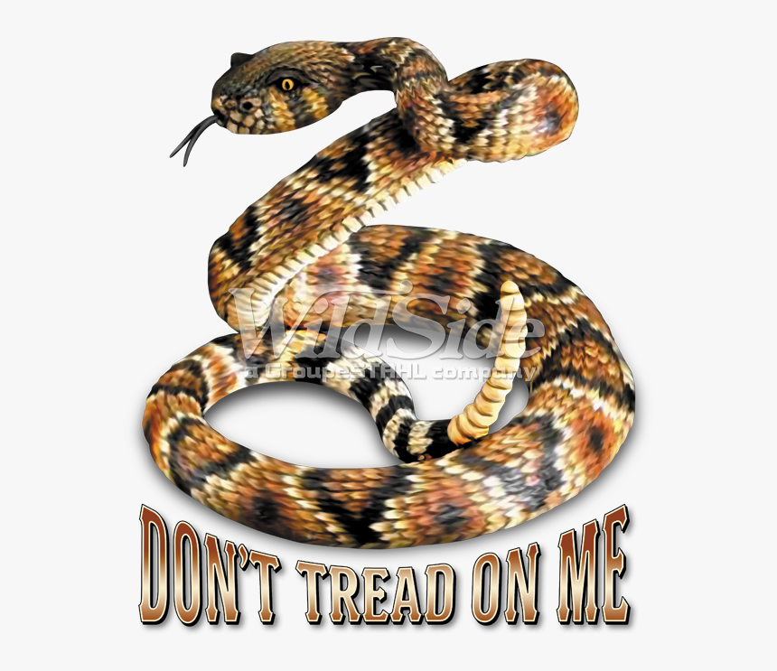 Don T Tread On Me, HD Png Download