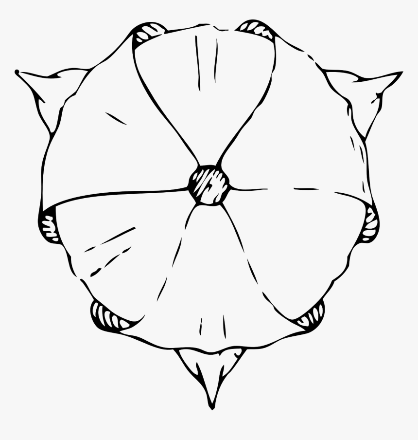 Flower Art Png, Transparent Png