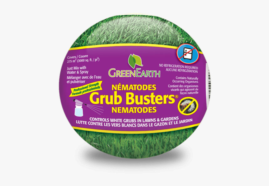 Green Earth Png, Transparent Png