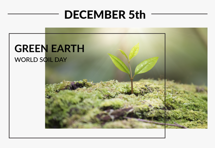 Green Earth Png, Transparent Png