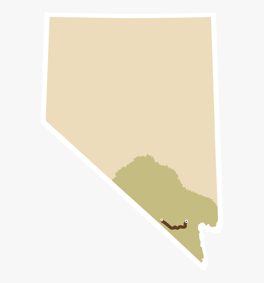 The Death Drive, Leg, HD Png Download