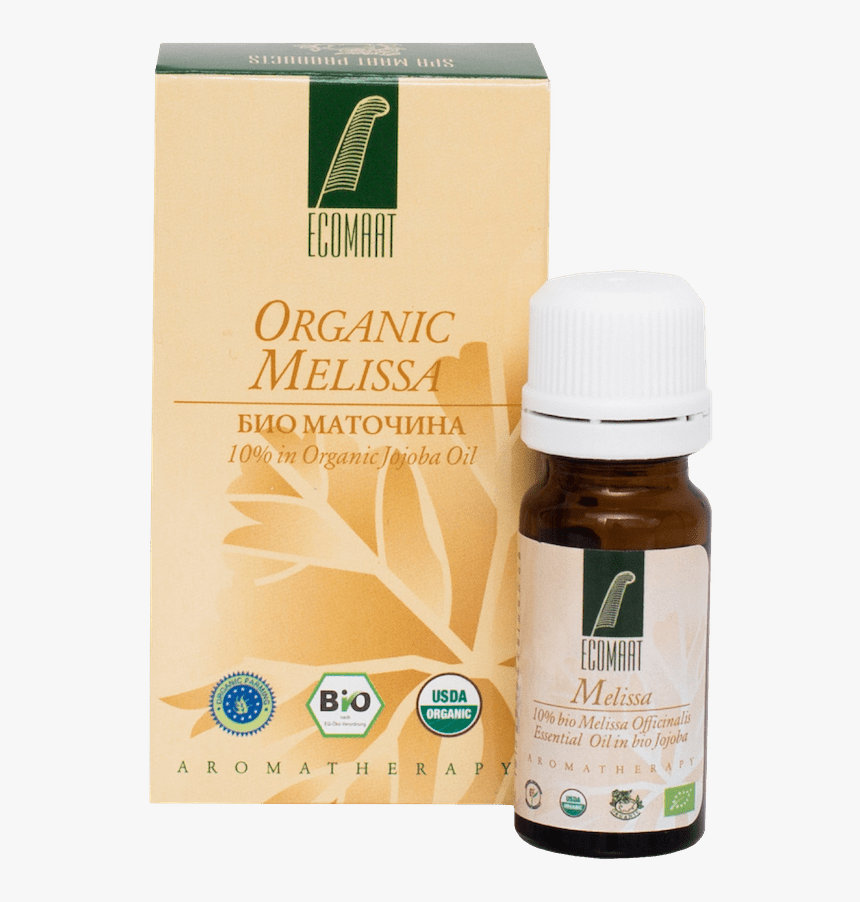 Peppermint Drawing Melissa, HD Png Download