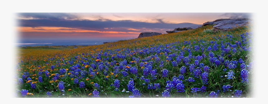 Spring Background Website 6109b229eb26c, HD Png Download