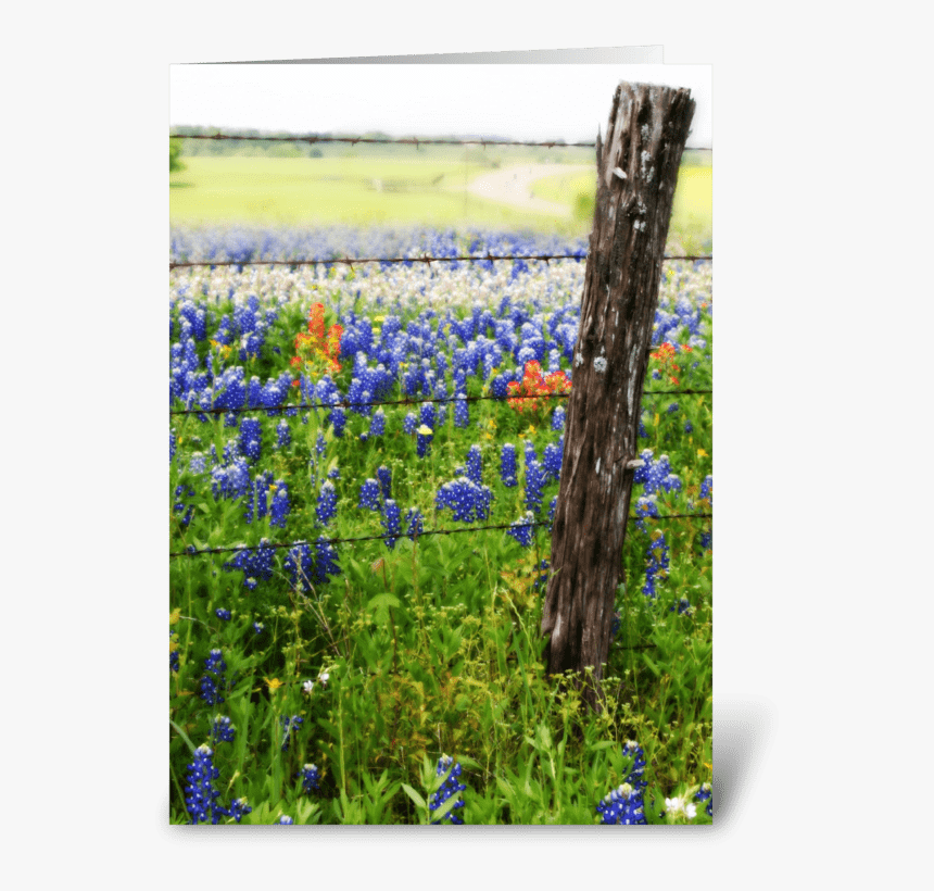 Memories Of Spring Greeting Card, HD Png Download