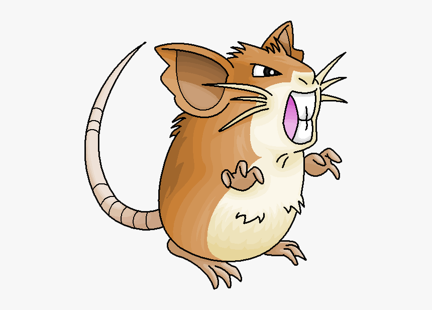 Raticate Png, Transparent Png