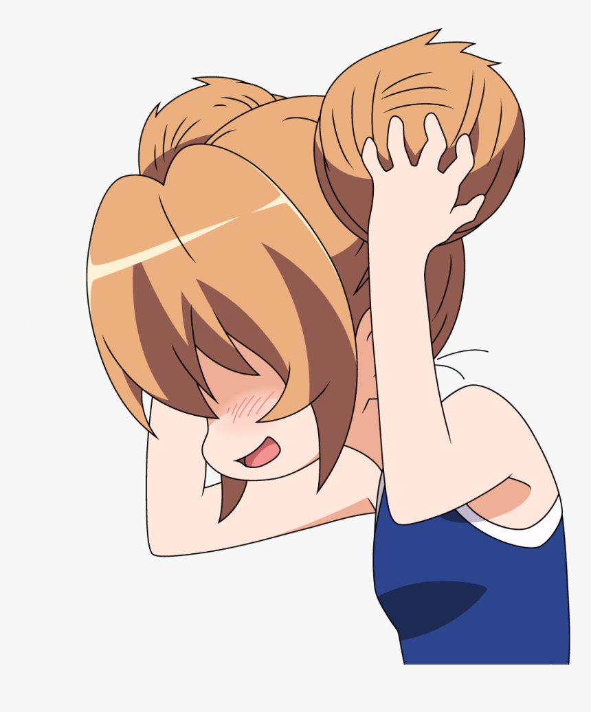 Taiga Aisaka Png, Transparent Png