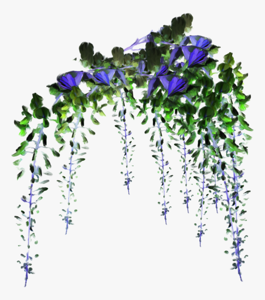 #flower #flowers #vine #vines #decoration #terrieasterly, HD Png Download