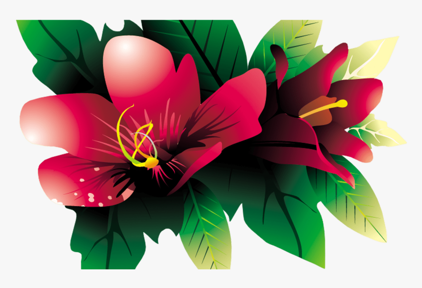 Images Of Tropical Flower Vines For Free Download On, HD Png Download