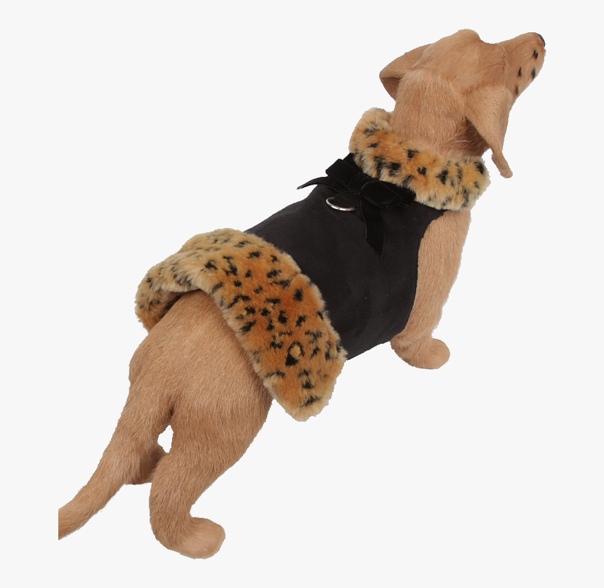 Fur Coat Png, Transparent Png