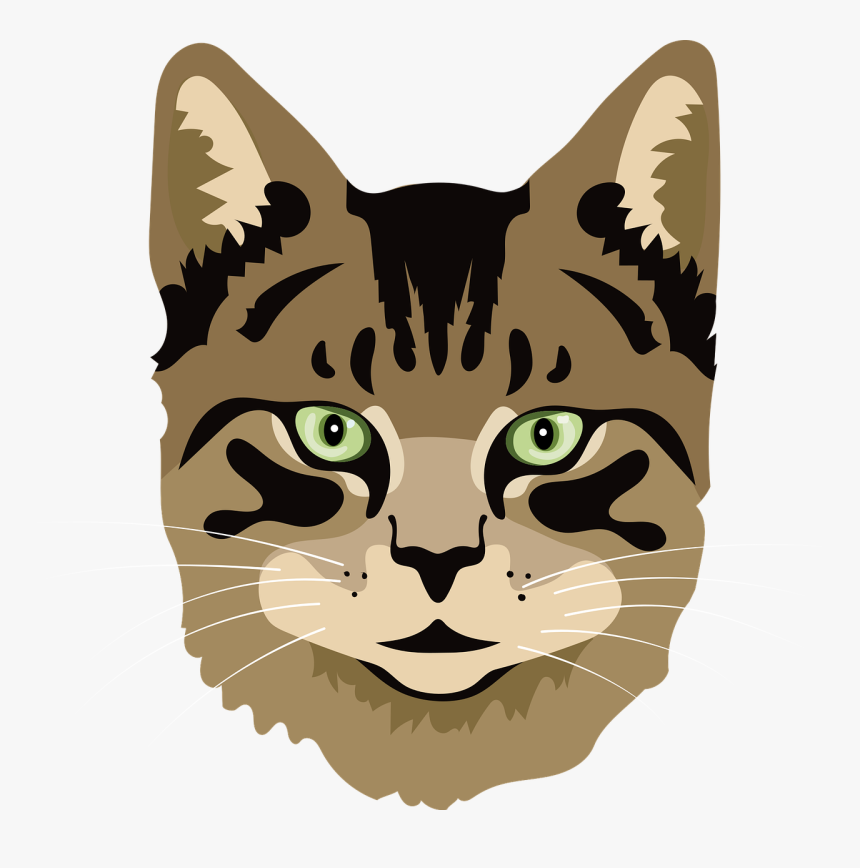 Cat, Meow, Kitten, HD Png Download
