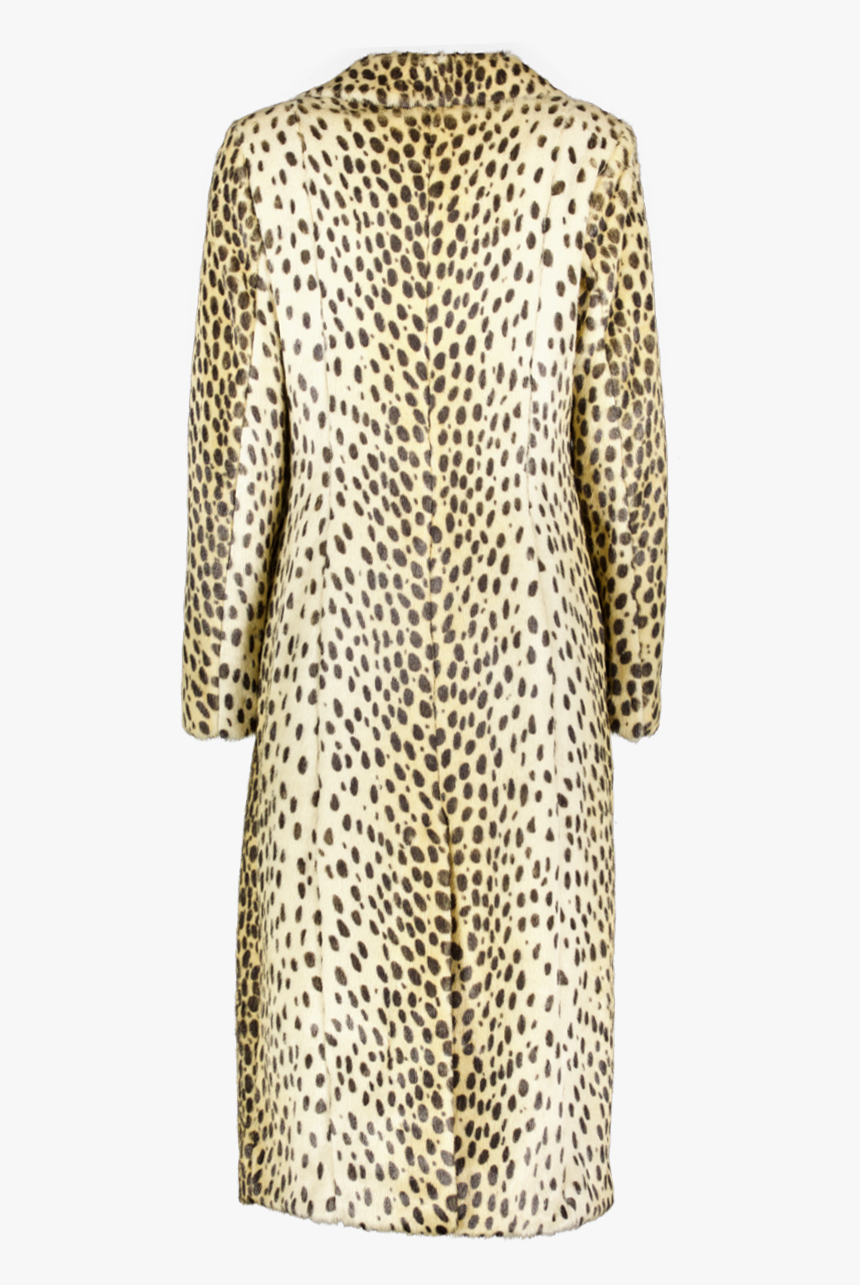 B Coat Cheetah Back Front 1200x800fixed-png Copy, Transparent Png