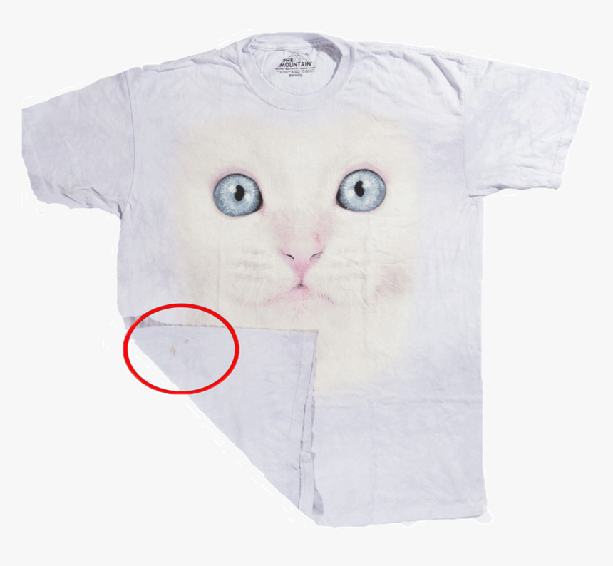 Футболка С Дефектом White Kitten Face, HD Png Download