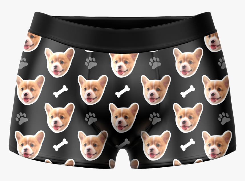 Kitten Face Png, Transparent Png